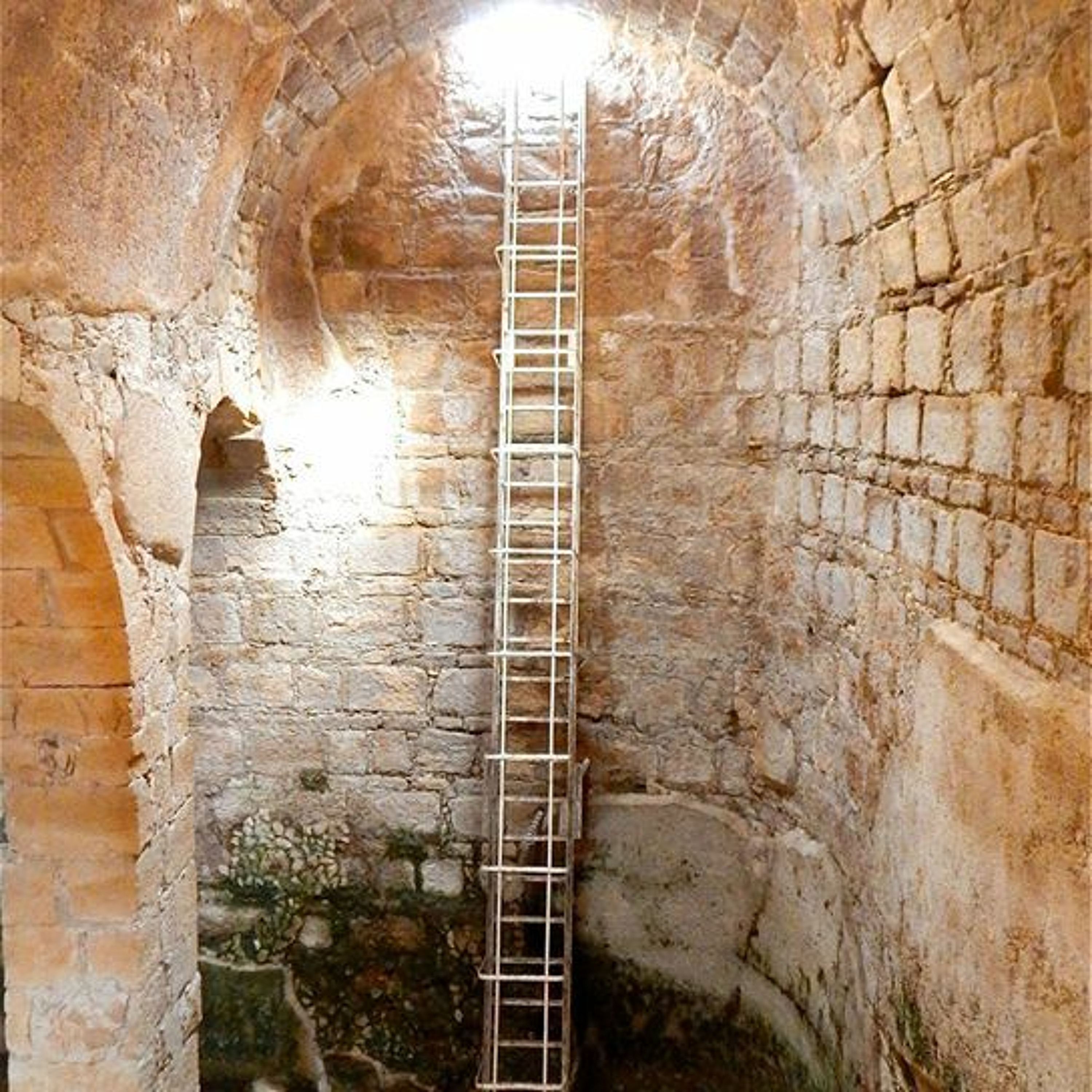 BITE SIZE - Behind the Fun In Jerusalem