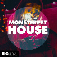 Monsterpet House | 400+ Drums, Serum Presets, Kits, Melodies & More!