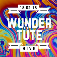 Hive Live Set 18.02.2018 @ Wundertüte Zürich