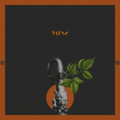 Tomanka - Lithodora