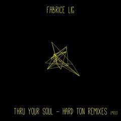 Fabrice Lig - Thru Your Soul - The Fools' Stone Remix