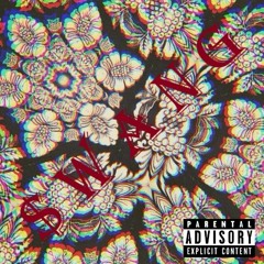 $ W A N G (prod. MAITRO)