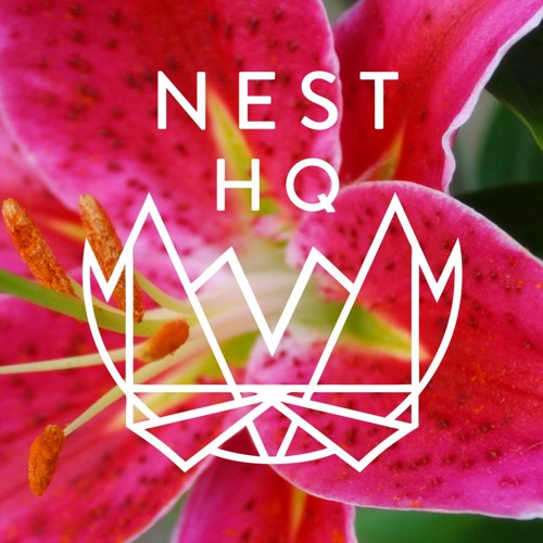 NEST HQ MiniMix: DZZ