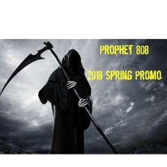 2018 Spring Promo Mix