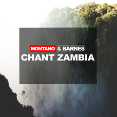 Montano & Barnes - Chant Zambia (Original Mix)