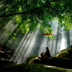 Seven Years in my Bed