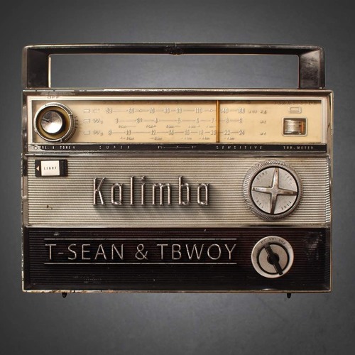 T-Sean & Tbwoy-Kalimba(Official Audio)