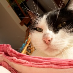 'Give Me Up When I Was Down...and I ...