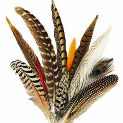 Gotta Be Somebody's Blues