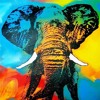 Elephant ("Rumble in the Jungle" psy-trance remix) Elephant ("Rumble in the Jungle" psy-trance remix)