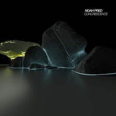 Download: Noah Pred - Rare Beast (Moog Dub)