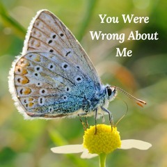 You Were Wrong About Me