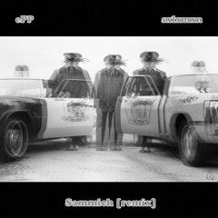 ePP - Sammich (Sxlxmxn Remix)
