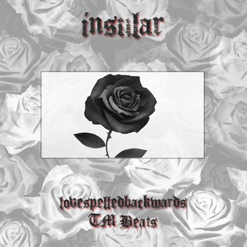 insular [prod. TM Beats]