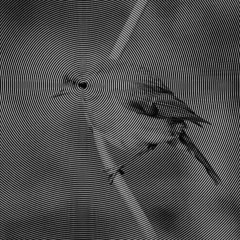 KirbLaGoop - Livin how im livin ¦†¦ cноppєdцp