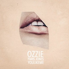 Paris Jones - You Like Me (OZZIE Remix)[slow version] FREE DOWNLOED