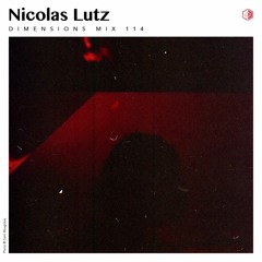 DIM114 - Nicolas Lutz