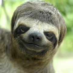 Big Chug - KRVP - The Intro