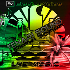 Tenari Sound- Reggae Elephant Roi Vol3
