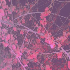 NEVER LAST FEAT. PURPLEWHITE (PROD. BASED GUXXI)