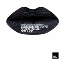 Teenage Mutants, Sezer Uysal - Eliminate (Original Mix)