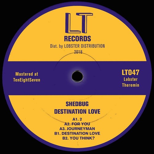PREMIERE : Shedbug -  For You