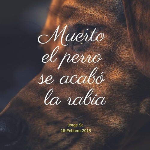 Stream Muerto el perro se acabó la rabia by CFC Vida Abundante AR | Listen  online for free on SoundCloud