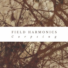 Field Harmonics - Follow