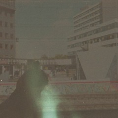 Day 2//I'd Put Me In my Shadow