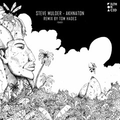 Premiere: Steve Mulder 'Recon' (Tom Hades Remix) - Filth On Acid
