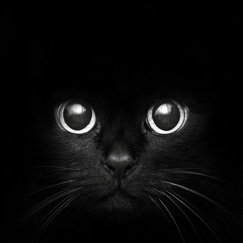 Dark Atmosphere /// Podcast 7 /// Spontane Vollgas@Version.LOL