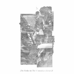The Momentum Series II - Zhe Pechorin (snippet)