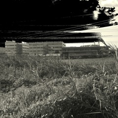 Doron BC ft. Tslil - Old black dawning (Frank Black cover)