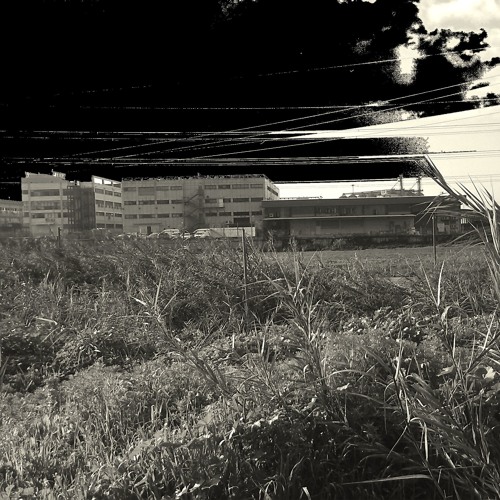 Doron BC ft. Tslil - Old black dawning (Frank Black cover)