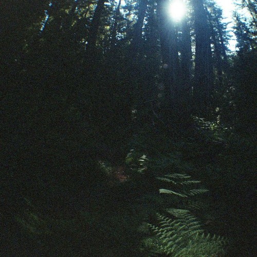 (sandy)alex g - candy
