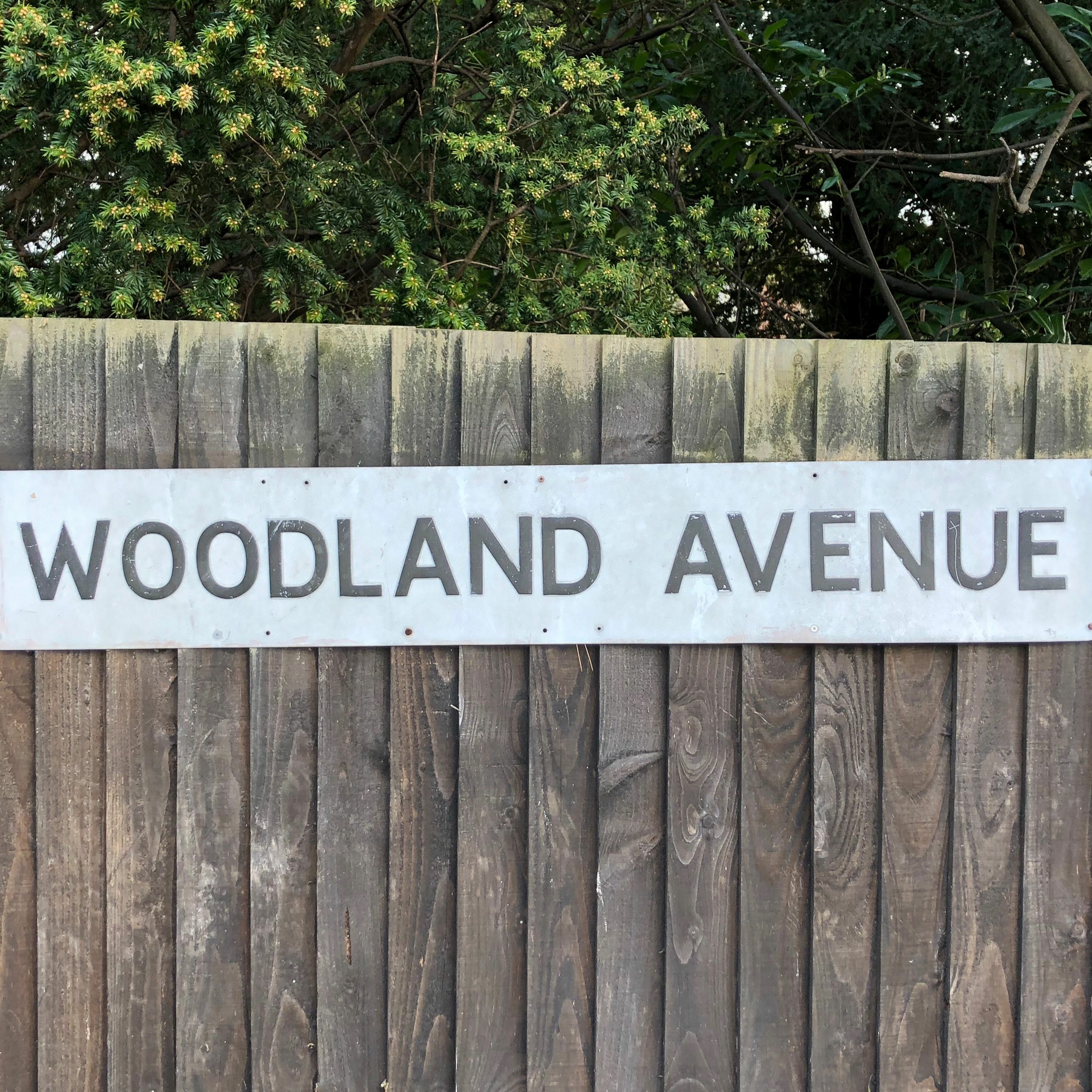 No 15 - Top 20 Streets in Clarendon Park, The Knighton's & Stoneygate - Woodland Avenue