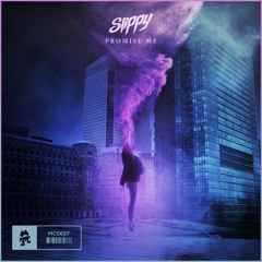 Slippy - Promise Me
