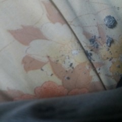 No Here For The Dog-Eared