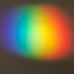 Michael Jordan Jandie Master P