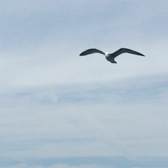 Higher