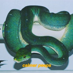 Calmer peeps (with D.$OUND, LILAARD)