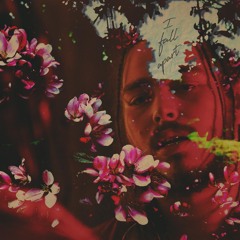 Post Malone - I Fall Apart (Tyler Rohn X Dave Cappa Remix)FREE DL