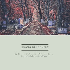 (Bromo Dragonfly) - Back in the Morning (Prod. by 1800entity)