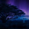 Kendrick Lamar SZA - All The Stars Instrumental Kendrick Lamar SZA - All The Stars Instrumental