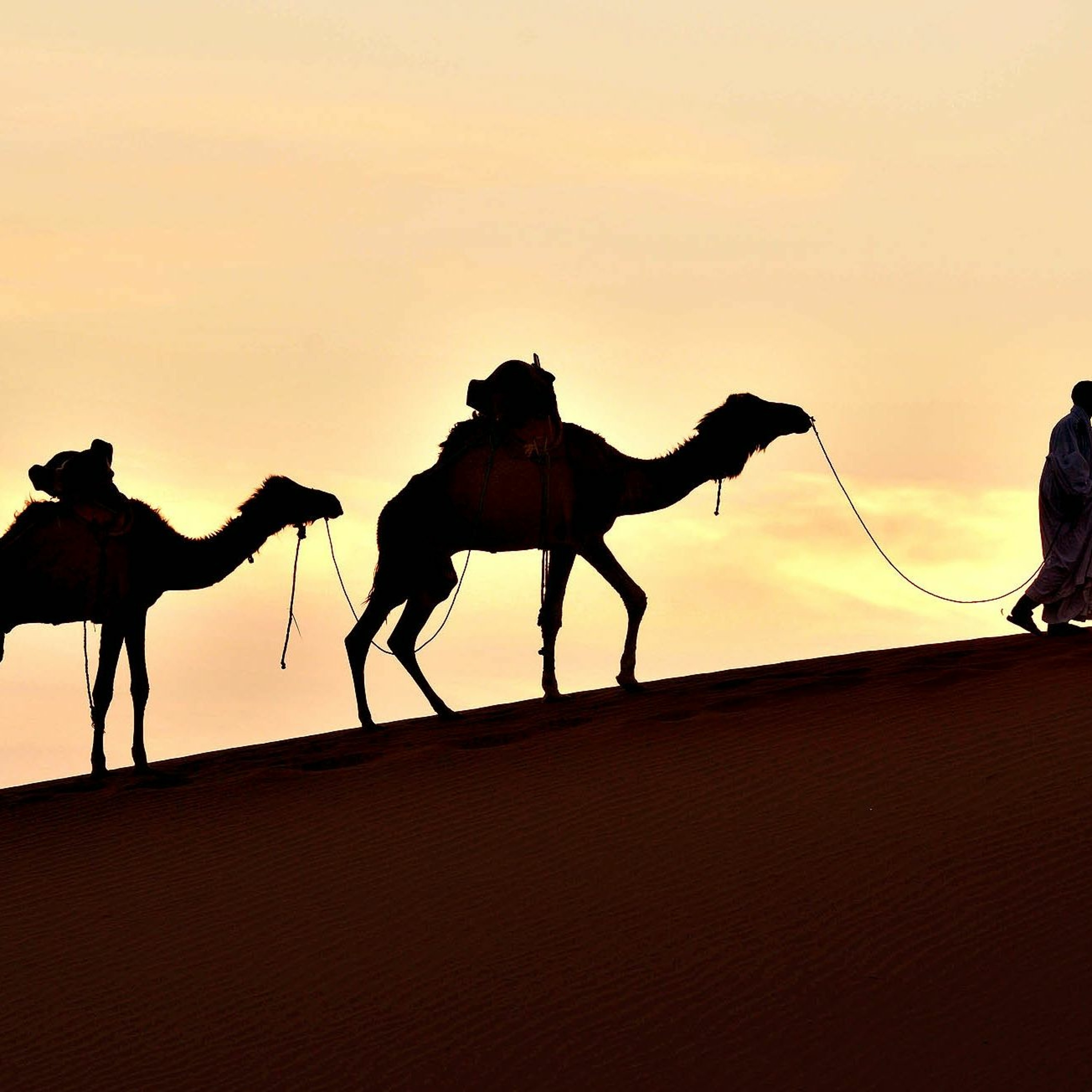desert - minimal tech mix  - pbx episode artwork