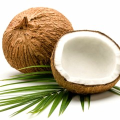 The Coconut Song