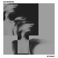 Galleries - Six Months