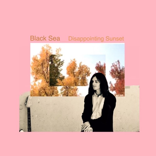 Black Sea - Analeptic