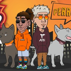 PERROS - APH X TRAINER 🐺