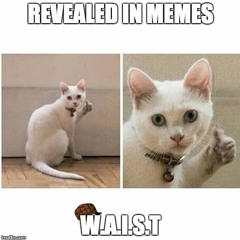 Revealed In Memes